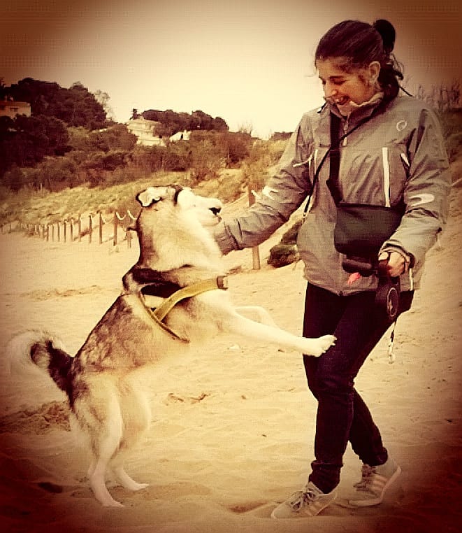 icaladero's tweet photo. Acomiadar-nos és el pitjor 💔 Gràcies Pepa per tots els moments que ens dones 🐺 La teva companyia, atenció, mimitos, abraçades, sobades, llepades, mossegadetes... es troben molt a faltar quan no hi ets. Torna aviat, ja t'estem esperant #PepaWolf  @ChineseTiger74 https://t.co/sA1EguMDF2