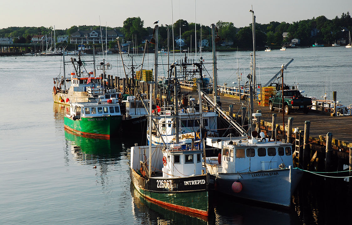 Study discovers presence of PFAs in seafood &gt;&gt; ow.ly/FQXF50RgHQA #Seafood #SeafoodSource #seafoodindustry