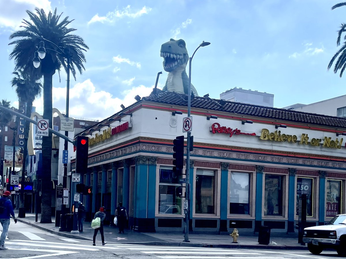 Ela_Bittencourt's tweet image. Where dreams are made or something #docsgetreal