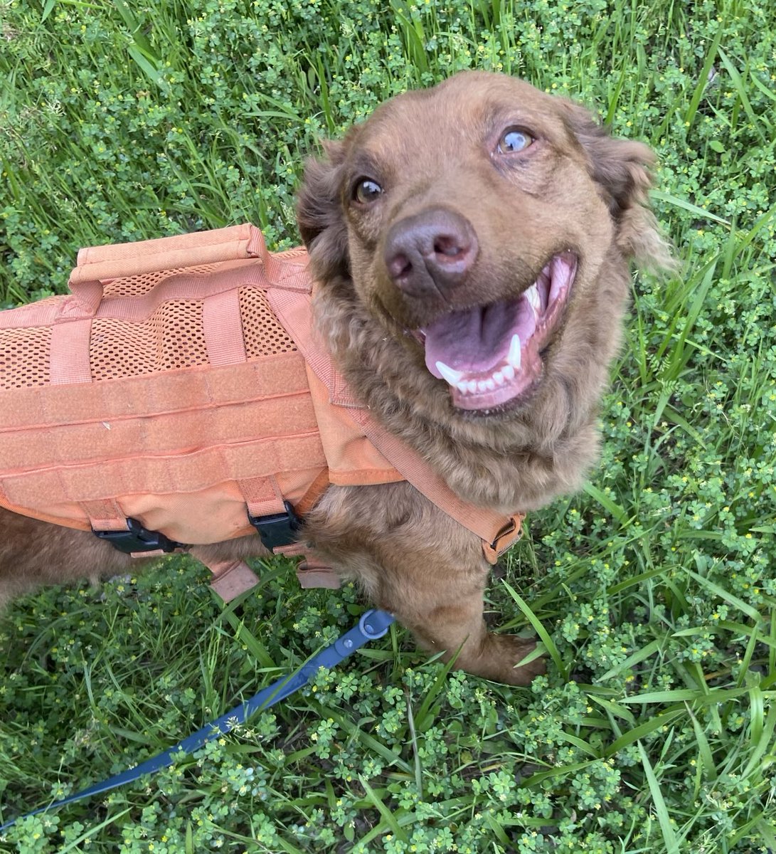 Happy Albert!