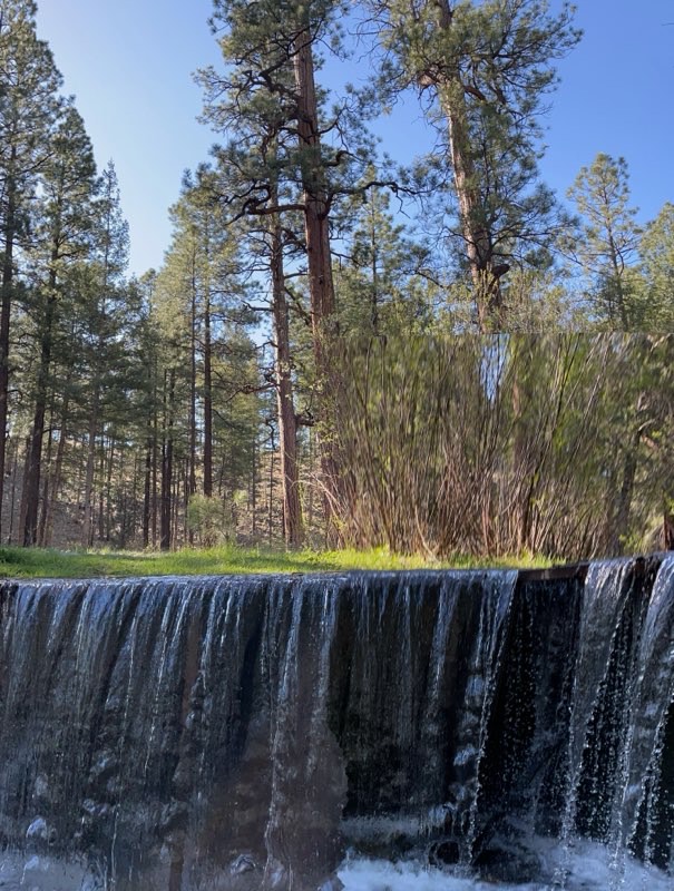 ArizonaDEQ's tweet photo. We 💚 #AZ! ADEQ Community Liaison Mannie B. shares her passion for exploring our state's waters.
"Roosevelt is our water body home away from home. We love visiting in spring for the beautiful flower displays and warm, calm weather."
#ProtectAZ #AZWater #EarthMonth https://t.co/c9YGQc94UV