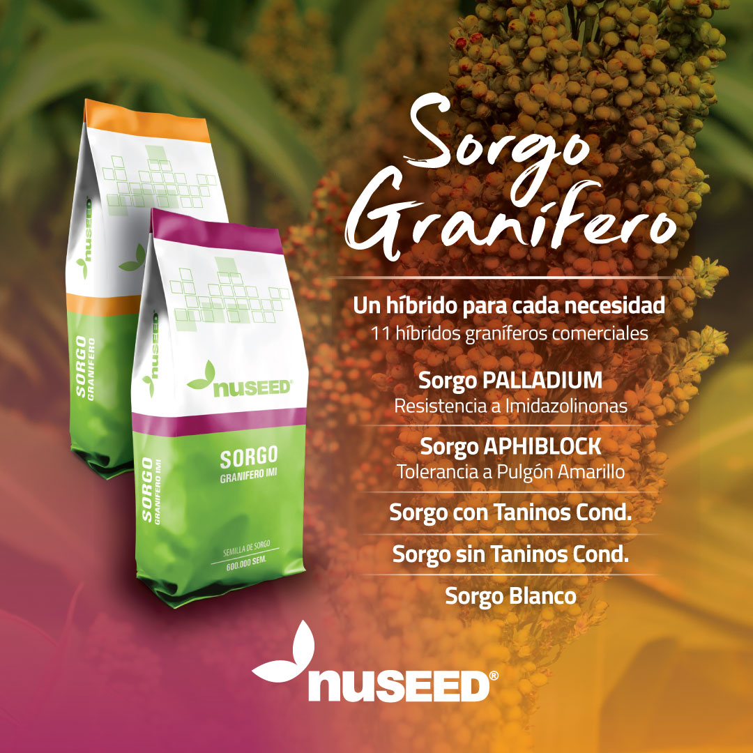 ๐ก๐๐๐ฒ๐ฒ๐ฑ ๐ฆ๐ฒ๐บ๐ถ๐น๐น๐ฎ๐ ๐ฑ (@nuseedsemillas) on Twitter photo #SorgoGranifero
Un hรญbrido para cada necesidad
๐ฑSorgo PALLADIUM - Resistente a Imidazolinonas
๐ฑSorgo APHIBLOCK - Tolerante a Pulgรณn Amarillo
๐ฑSorgo con Taninos Condensados
๐ฑSorgo sin Taninos Condensados
๐ฑSorgo blanco
#SomosNuseed
#SomosSorgo #SorgoGranifero
Un hรญbrido para cada necesidad
๐ฑSorgo PALLADIUM - Resistente a Imidazolinonas
๐ฑSorgo APHIBLOCK - Tolerante a Pulgรณn Amarillo
๐ฑSorgo con Taninos Condensados
๐ฑSorgo sin Taninos Condensados
๐ฑSorgo blanco
#SomosNuseed
#SomosSorgo