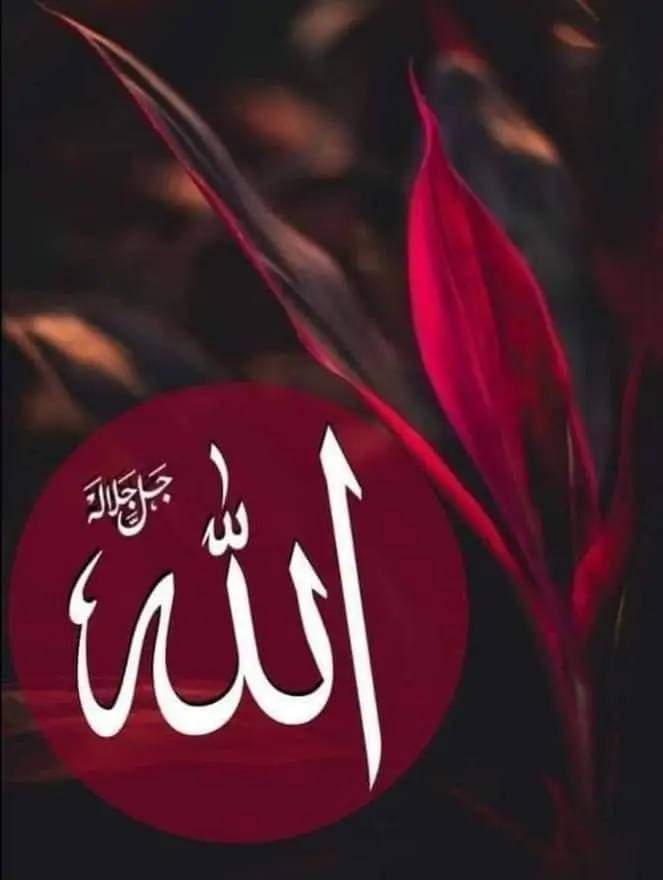 ﷽ السلام علیکم ورحمتہ اللہ وبرکاتہ 🌹 ⁧#خاتم_النبیین_محمدﷺ⁩ ⁧#درود_وسلام⁩ اے ربِ مصطفیٰﷺ️ ہمارے دل کی دعاؤں کو شرفِ قبولیت بخش دے 💞... 🌹... 🌹... 🌹... 💞 اَللَّهُمَّ صَلِّ علىٰ نَبِيِّنَا مُحَمَّدٍ وَعَلىٰ آلِهِ وَصَحْبِهِ وَسَلِّمْ تَسْلِيمًا كَثِيرًا