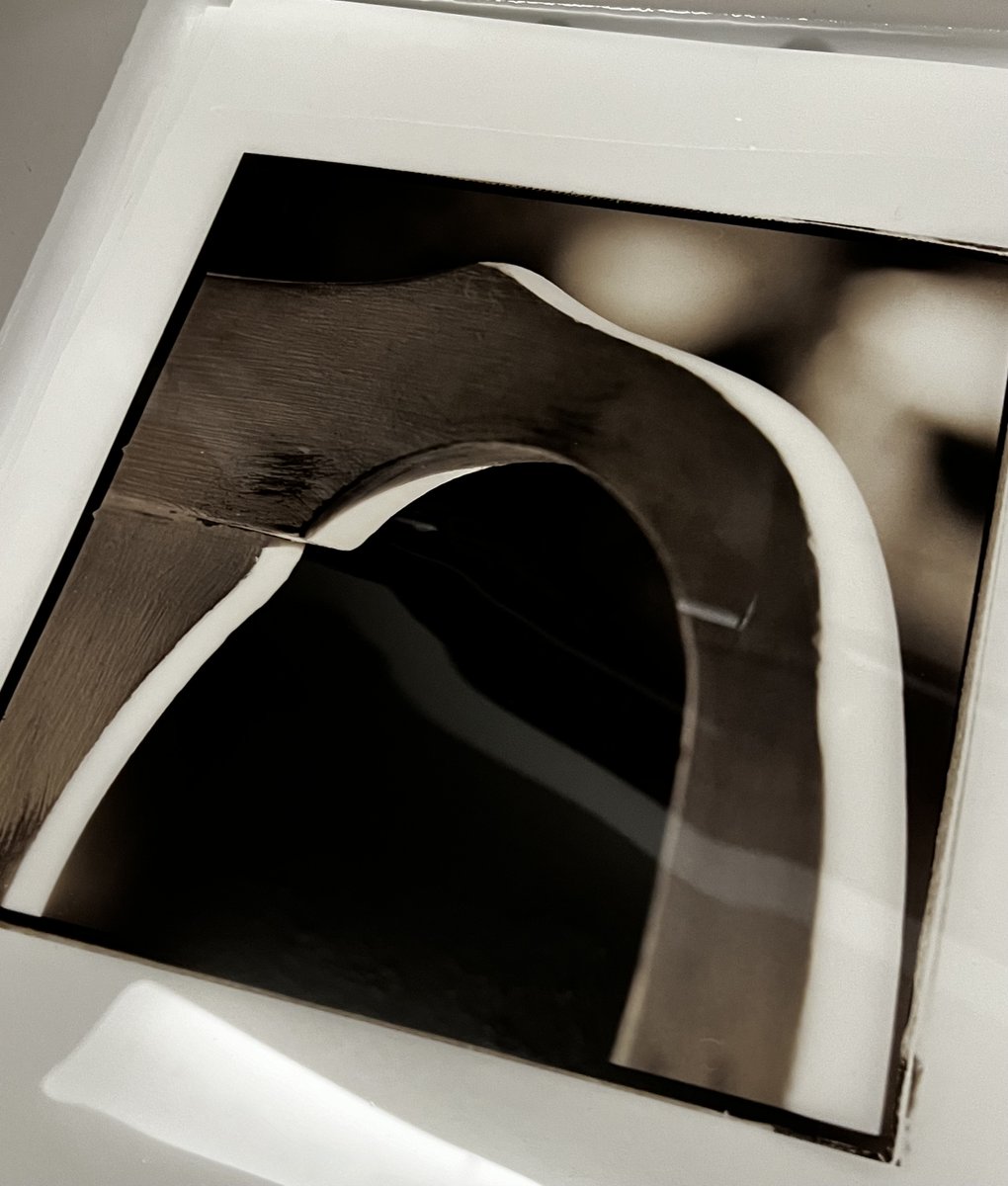 sbills15's tweet photo. セピアとセレニウムの中間色の写真です。#ilfordphoto #seleniumtoning #sepiatoning #splittone #splittonedphotograph @ILFORDPhoto #ilfordmultigradeclassicFB https://t.co/mrhjPsOQzA