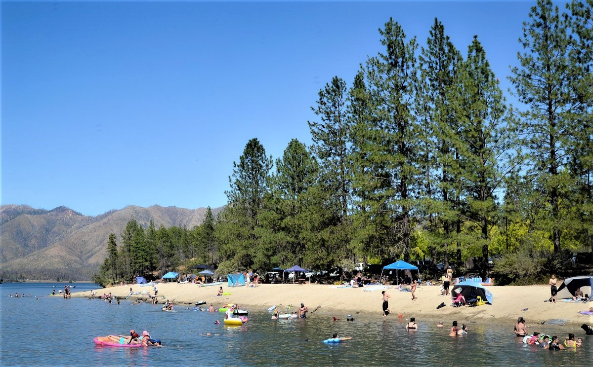 Shasta County tweet media