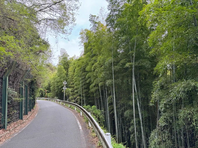 昨日は京都へ移動し山科から伏見までてくてくと歩いた 