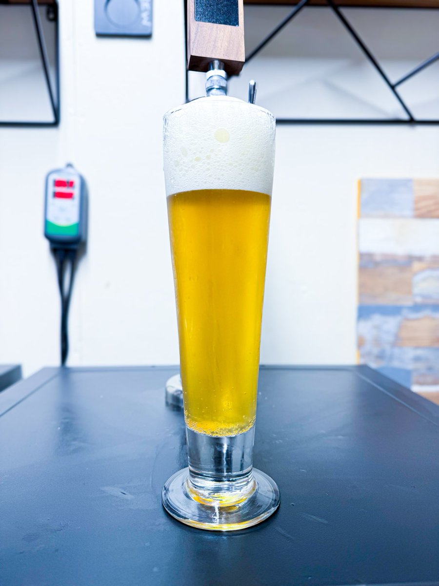 billys_tavern's tweet photo. Munich Helles 

Weyermann Malt — Barke Pils, Vienna, &amp; Munich, w/ some Melanoidin 
German Hops — Spalt and H. Mitt.
German Yeast — Imperial L26 Pilgrimage https://t.co/JvxkPCin6V