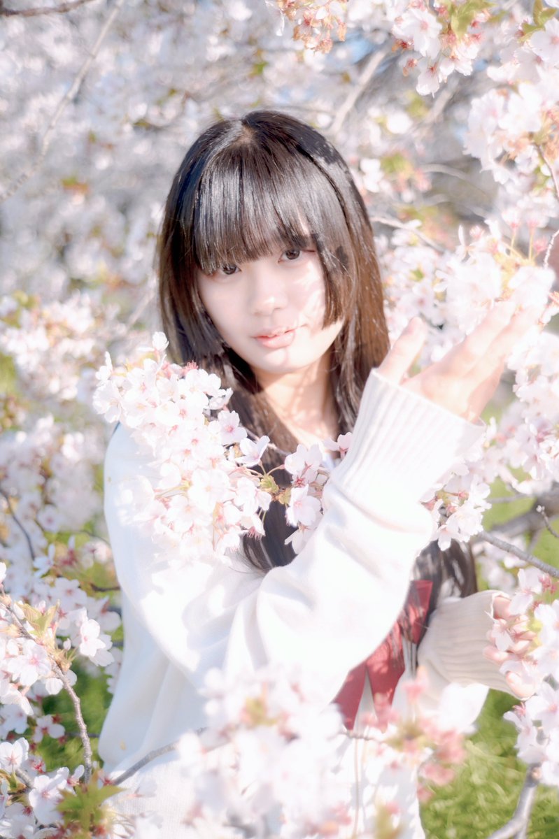 ほっぷ tweet media