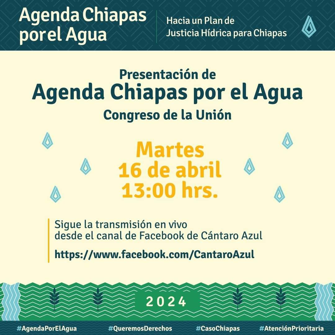 Cantaro_Azul's tweet photo. #AgendaChiapa

💧El día de mañana diversas organizaciones y asociaciones que hemos construido la Agenda Chiapas por el Agua, estaremos presentándola en el Congreso de la Unión.💦

Les invitamos a seguir la transmisión en vivo:
🗓️Martes 16 de abril
⌚13 h
Desde nuestro  Facebook https://t.co/sG6F7UAIwj