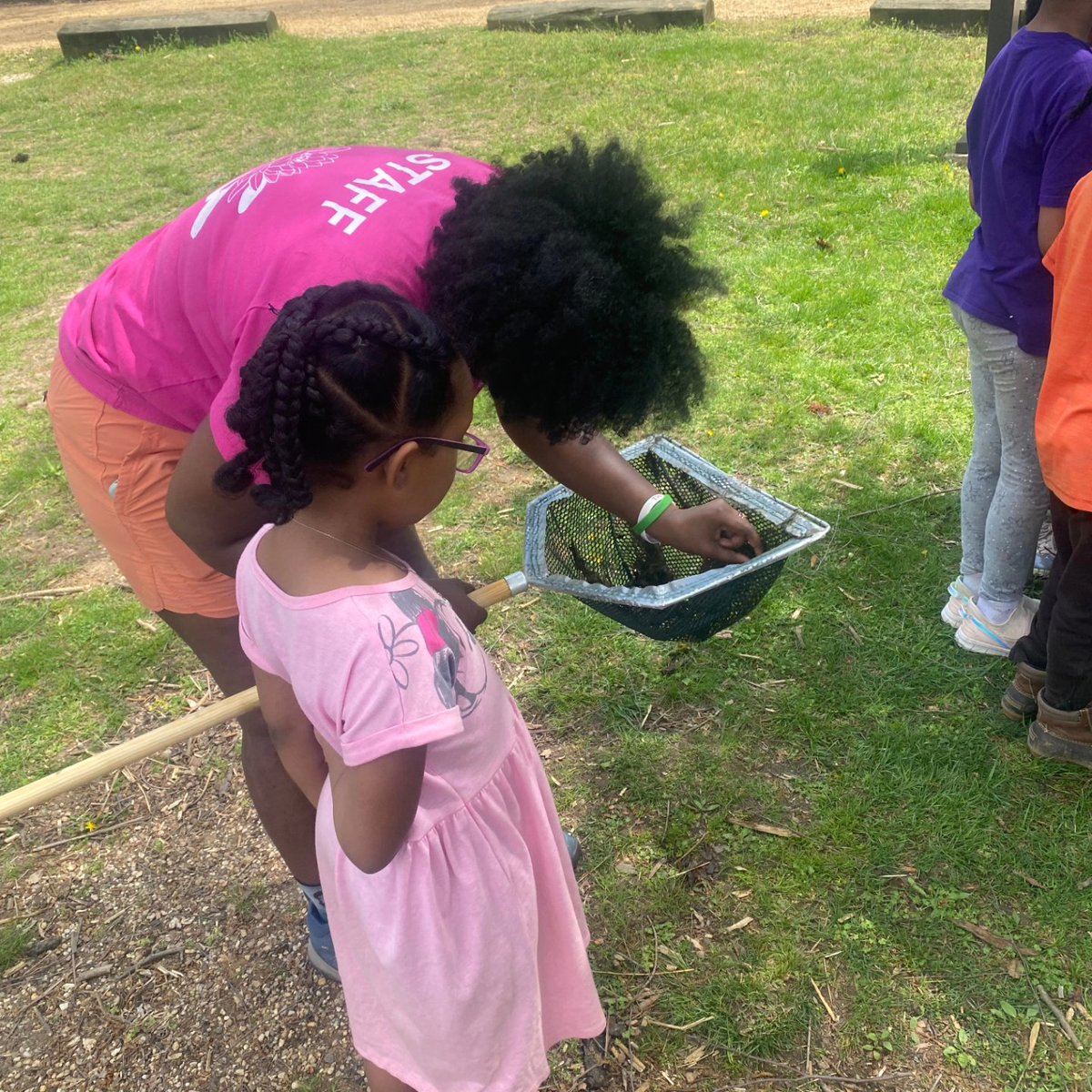 UrbanAdvSquad's tweet image. TURTLE POWER! Spring break at Kenilworth Aquatic Gardens means a daily 🐢 count of 40+!

Thank you to Shannah from @KenAqGardens for leading pond dipping, which allowed us to observe dragonfly nymphs, small fish, &amp;amp; arthropods up close. 

#ThisIsOutdoorLearning 
#CityAsAClassroom