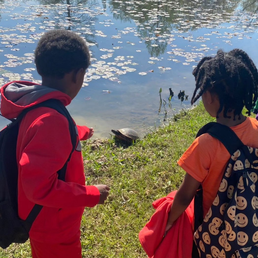 UrbanAdvSquad's tweet image. TURTLE POWER! Spring break at Kenilworth Aquatic Gardens means a daily 🐢 count of 40+!

Thank you to Shannah from @KenAqGardens for leading pond dipping, which allowed us to observe dragonfly nymphs, small fish, &amp;amp; arthropods up close. 

#ThisIsOutdoorLearning 
#CityAsAClassroom
