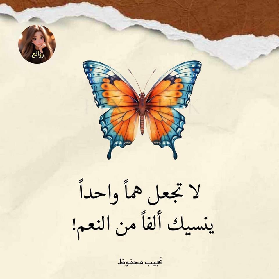 drmostafa64's tweet photo. وأما بنعمة ربك فحدث https://t.co/hgBD2aTtzS