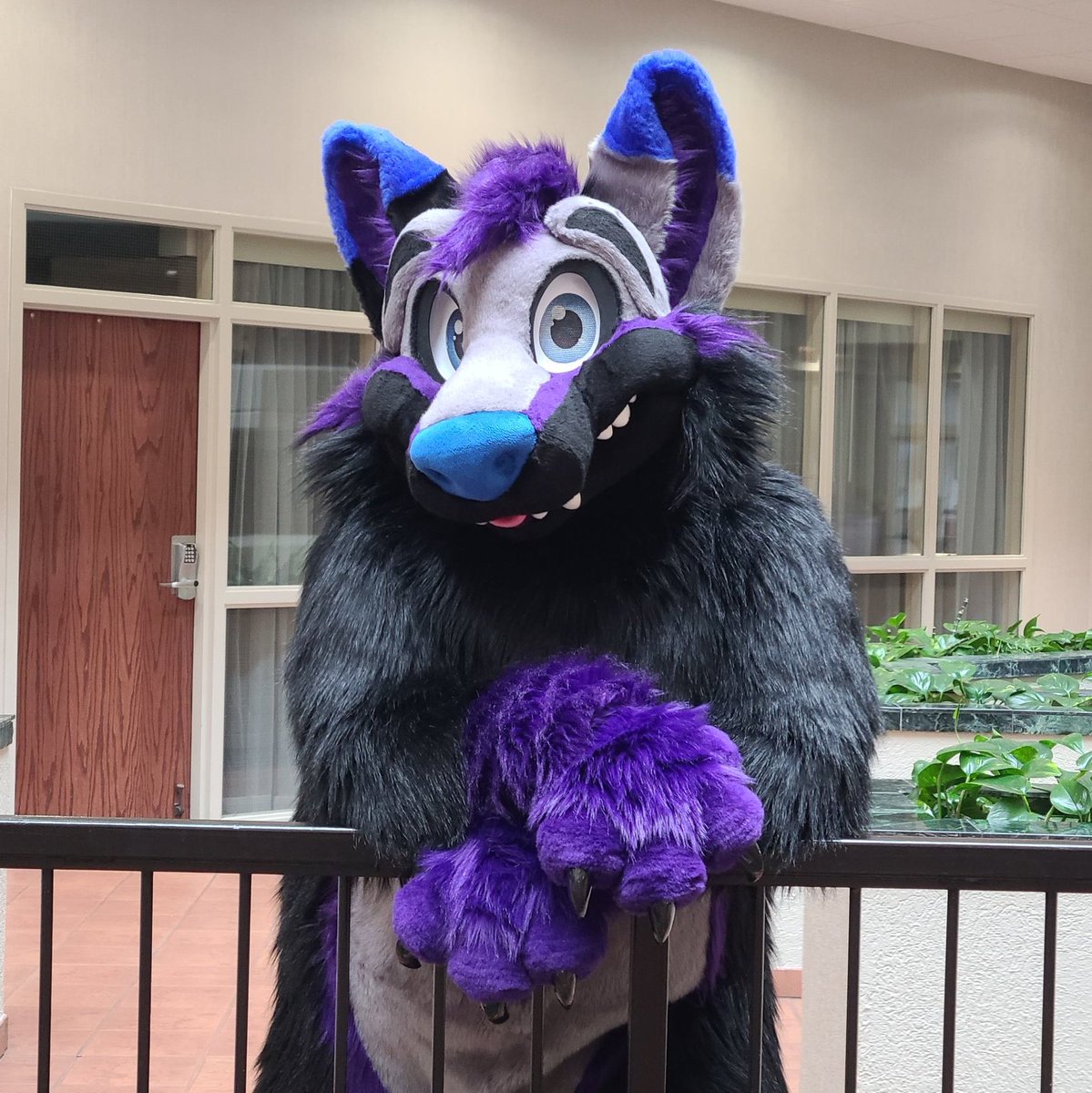 Hiya, this wolf will be roaming around at FWA! Who all will I see there?