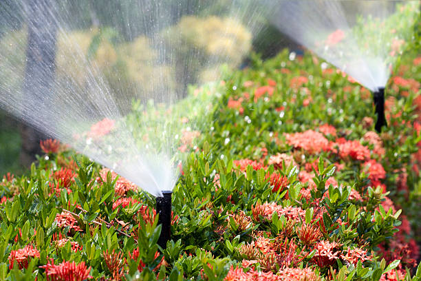 LlcIrrigation's tweet photo. How often do you check your irrigation system for leaks or other issues? https://t.co/iRmMjTG4Q9