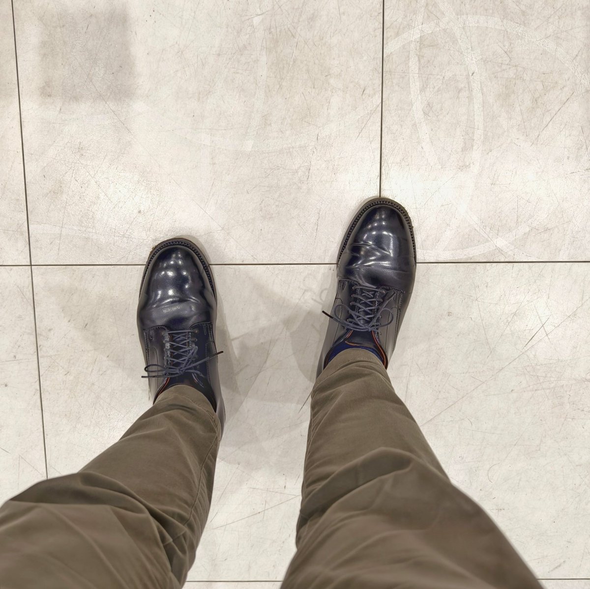 smilesmile2000's tweet photo. 昨日の靴
#オールデン #alden #modifiedlast #cordovan #コードバン #shellcordovan #horween https://t.co/HMmmCof1es