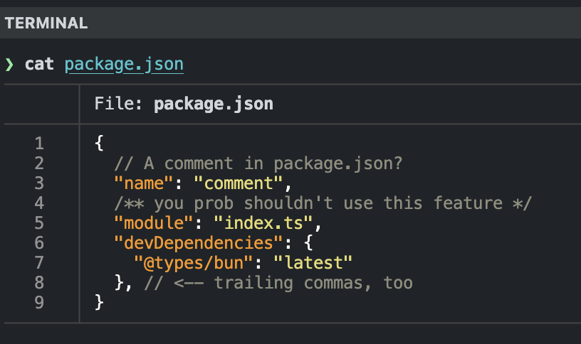 In the next version of Bun Bun won't error when package.json has comments or trailing commas