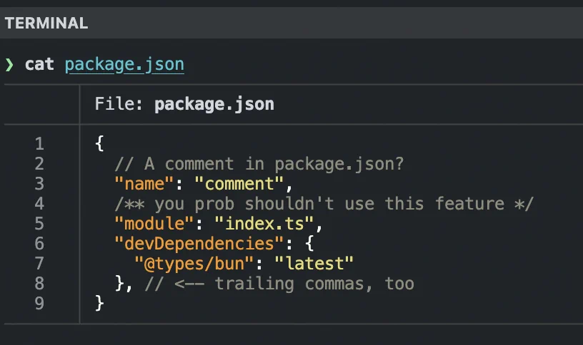 {
  // A comment in package.json?
  "name": "comment",
  /** you shouldn't use this feature */
  "module": "index.ts",
  "devDependencies": {
    "@types/bun": "latest"
  }, // <-- trailing commas, too
}