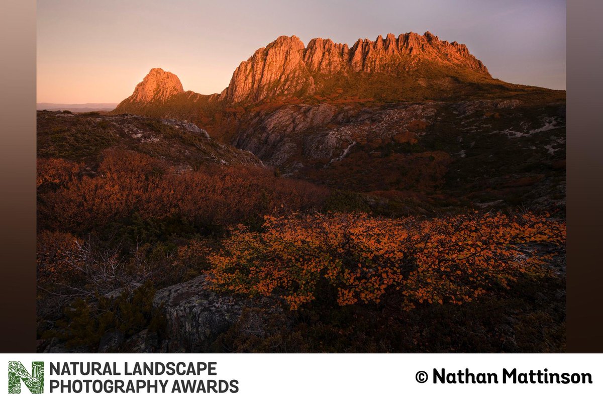 natlandawards's tweet photo. It is #ProjectMonday here at NLPA - a special one indeed! We just re-opened for entries today, and are super excited to see what this community shares. Here is a project from Nthan Mattinson entitled, "Four Days." Lovely work, Nathan! https://t.co/lIavMlVY3v