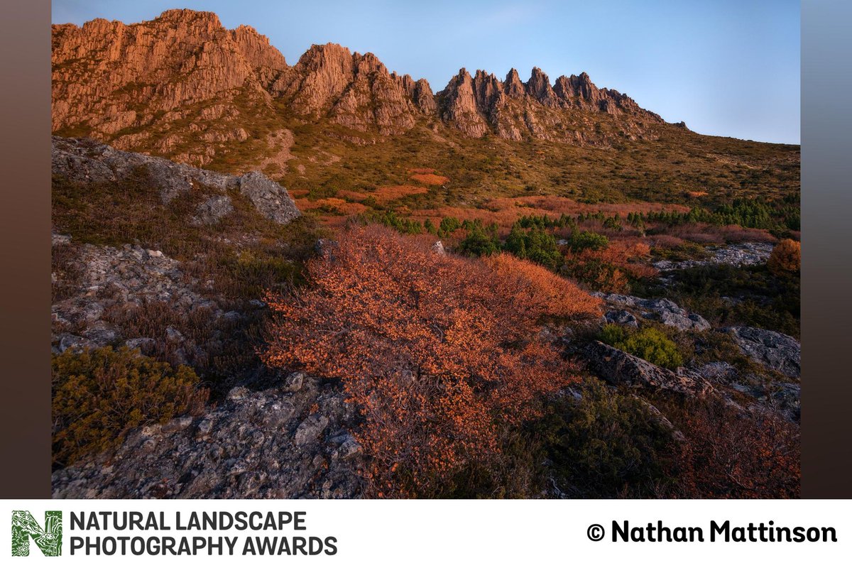 natlandawards's tweet photo. It is #ProjectMonday here at NLPA - a special one indeed! We just re-opened for entries today, and are super excited to see what this community shares. Here is a project from Nthan Mattinson entitled, "Four Days." Lovely work, Nathan! https://t.co/lIavMlVY3v