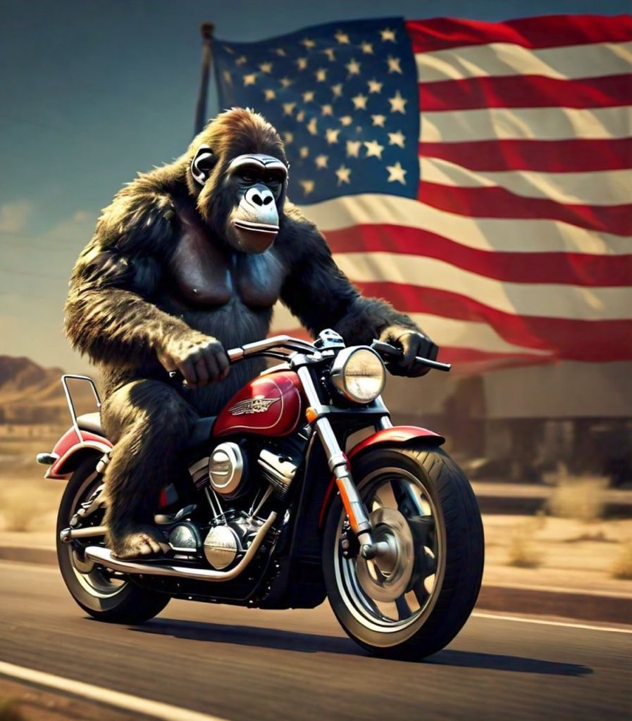 Dero.SOL tweet media