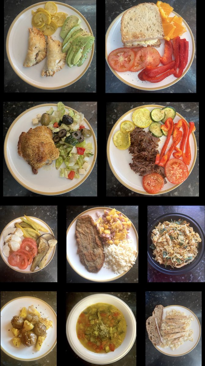 I made some shredded beef w/parmesan veggies, ground beef empanadas, roasted veggies w/mozzarella & tomato, sticky meatballs, panko chicken thighs, noodles w/peanut sauce, egg salad sandwich, breaded eggplant, chicken bow tie Alfredo, veggie soup .