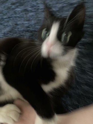 <a href="/L9FRIENDLYSTYLE/">L9FRIENDLYSTYLE</a> MEEE please please pleaseeee PLZ :3
<a href="/LuRkZ77/">Lurkz</a> (self nomination) 
i would be playing it from @Nowowhere 's(duo nomination) lap IN REAL LIFE during it (did i do it correctly?? i think , yes! .. right?? >//<