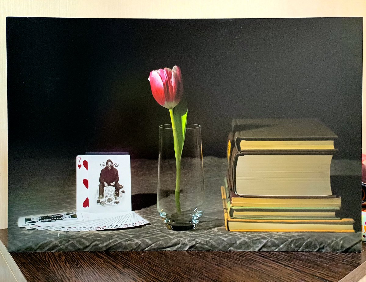 ImNataliaCarney's tweet photo. Vanutas vanitatum et omnia vanitas.
After 2 years of hanging in a photography school, my stylization of vanitas paintings has finally returned back to me! The work was inspired by Phillipe de Champaigne and Pieter Claesz's paintings.
Playing Cards: #RedGatorbacks by @davidblaine https://t.co/REDQu7MV7f
