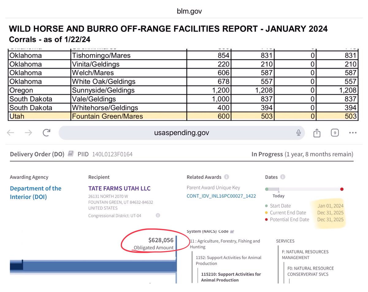 Could @NRDems @SecDebHaaland @BLMWHB @BLMNational or @RepJoeNeguse explain why people are paid $3.47 per day per horse to put wild horses in their pastures but ranchers pay less than a nickel a day to graze a cow & calf in their place on public lands? This is a tragic ripoff.