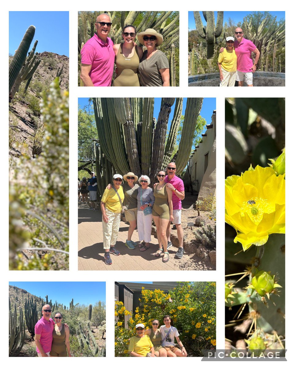 Today’s adventure included the awesome Desert Botanical Garden, Phoenix. Perfect 70 degree weather.