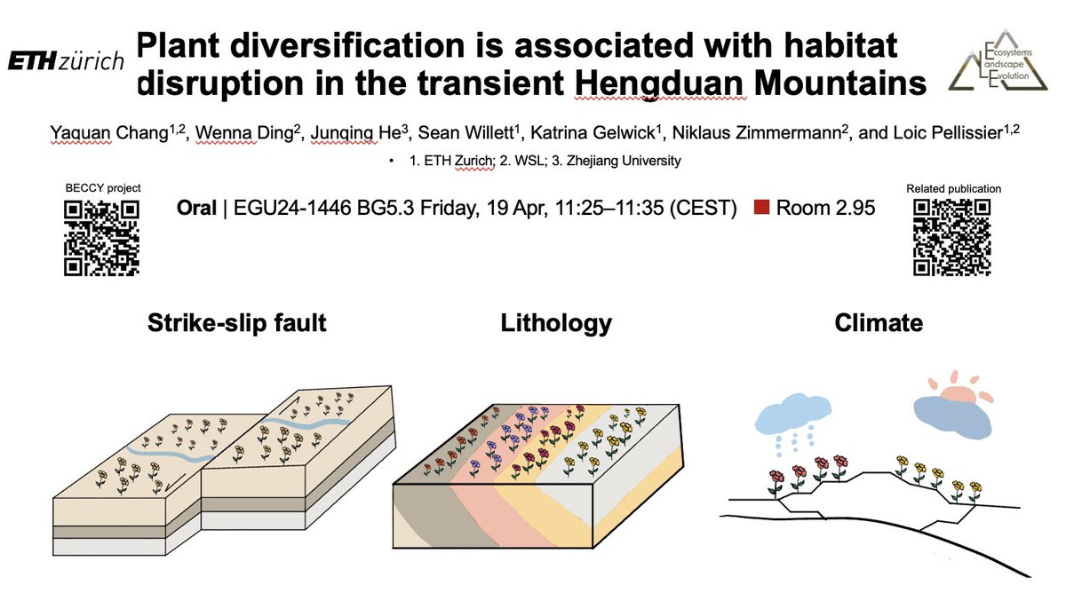 Wondering how tectonic and climate processes are shaping biodiversity patterns in the Hengduan Mountains? Come by my talk on Friday morning at 11:25! #EGU24 @EuroGeosciences @ELE_ETHWSL @EGU_BG