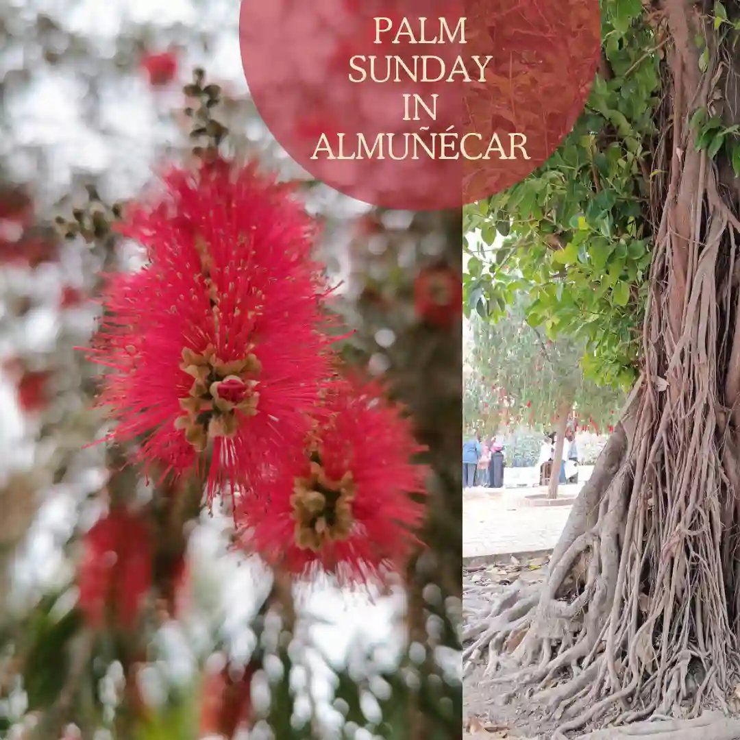 1/🧵I think it's safe to say that our family has started to love the Costa Tropical of Spain, especially the #Almunecar area. It started with a flea market visit and ended up with lots of trip to that area. Read about our #weekend trip at Palm Sunday...