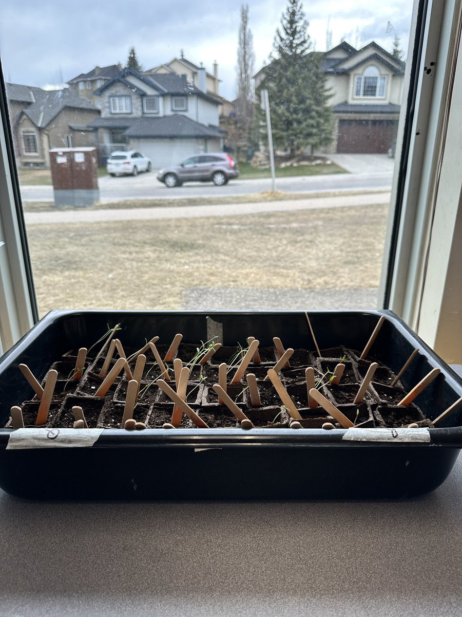 BPSHawks1 tweet media