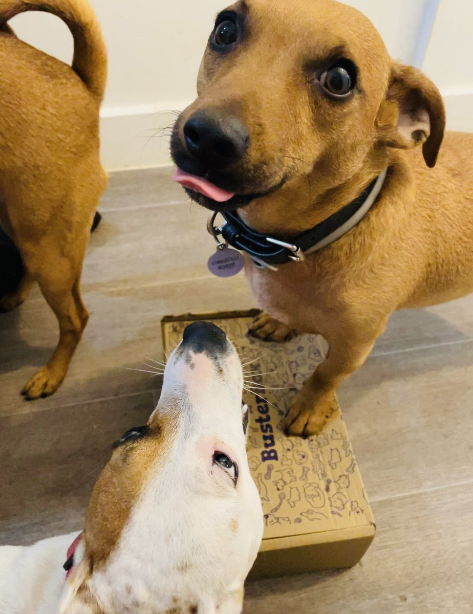 Clair .. lifetime member of the TTPD 🖤🤍 tweet media