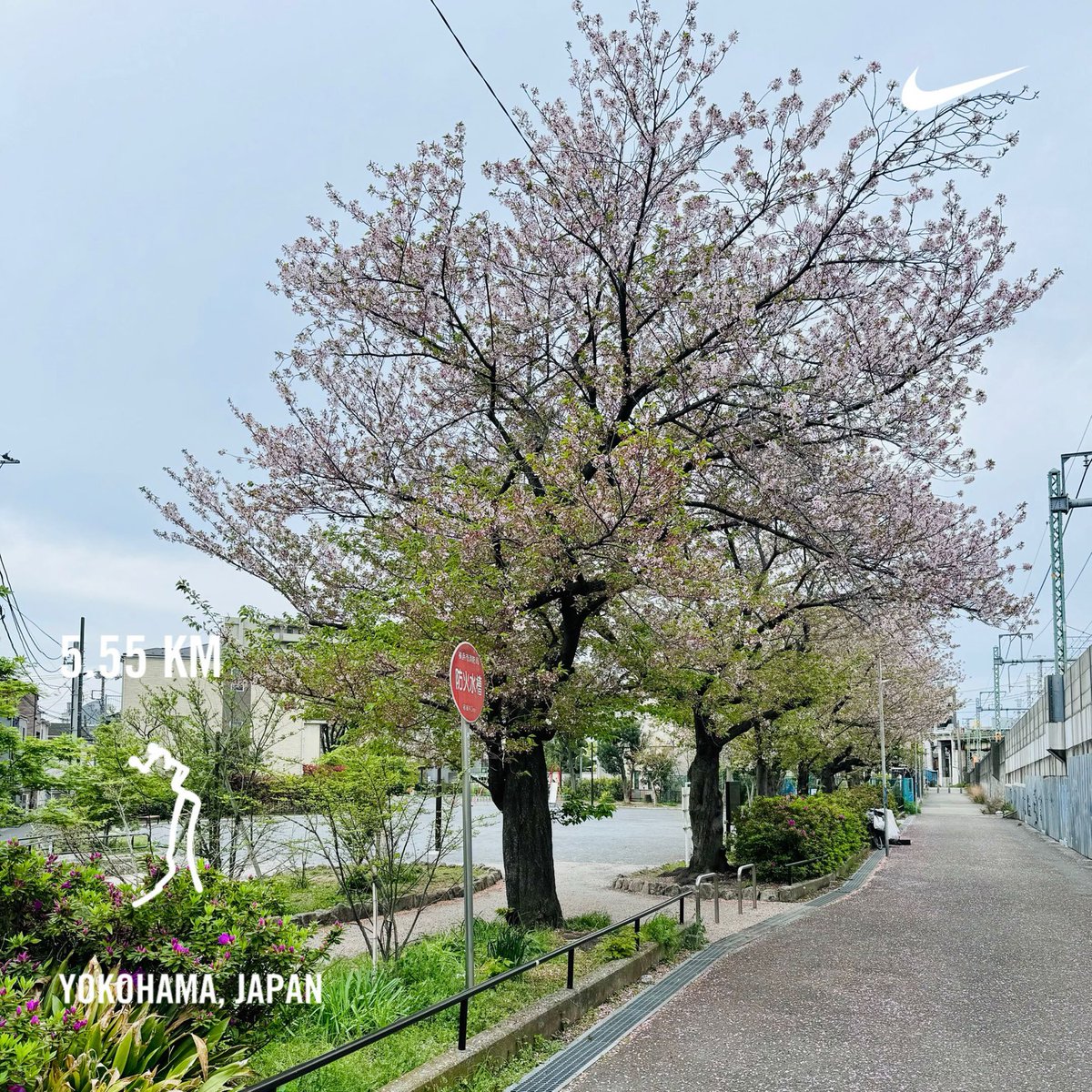 Tuesday morning run
move forward to the next

 #nikerunclub #run #running #jogging #nikeplus #tsurumi #yokohama #japan #morning #morningrun #🏃‍♂️ #shotoniphone #桜 #sakura #cherryblossom #🌸