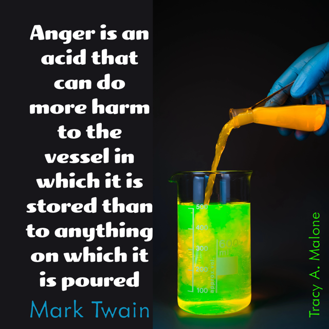 If you have #anger, work through it so it's fleeting. It will do you more harm than good if you hang on to it. #narcissist #narcissism #covertnarcissist #narcissisticabuse #narcissistabusesupport #tracyamalone #divorcingyournarcissist #divorcinganarcissist #youcantmakethisshitup