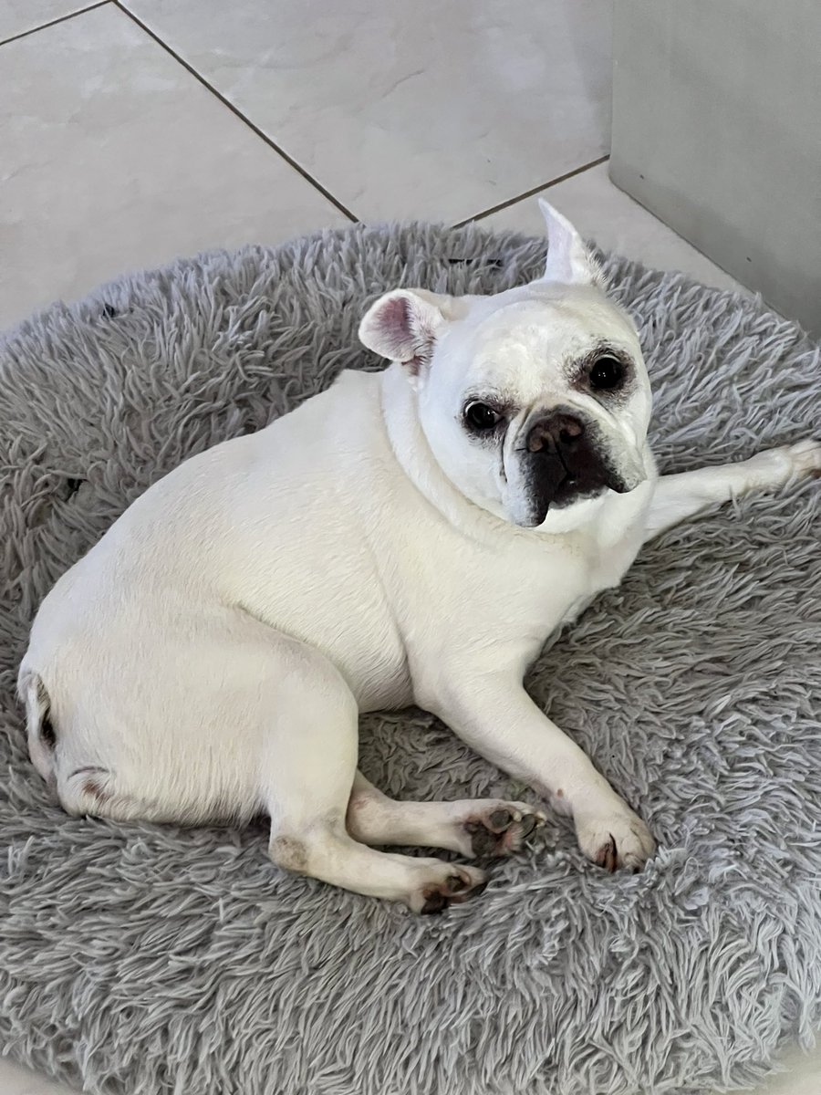 ALIENQUEEN tweet media