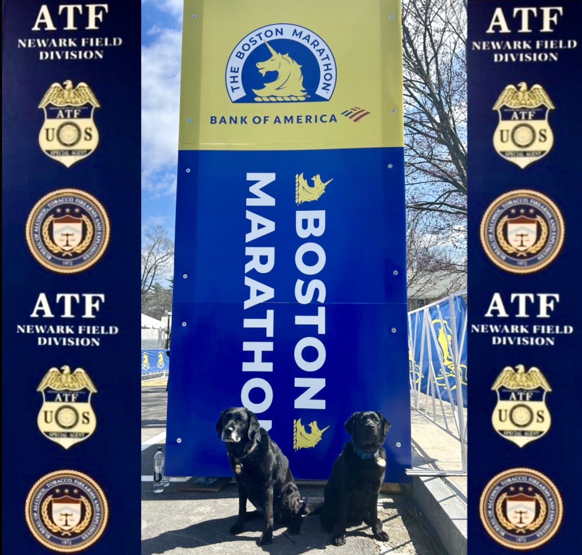 ATF Newark K9 Sunny and ATF NY K9 Jet joined other ATF, state, local, and federal explosive detection K9 teams in performing protective sweeps at the Boston Marathon. Proud of all today’s runners, supporters, event staff, and being able to assist in a fun & safe #BostonMarathon