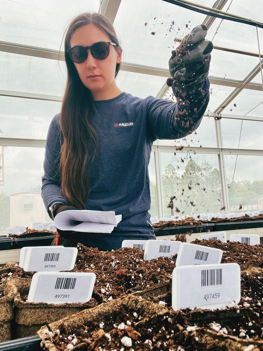 Bucior_ecophys's tweet photo. The beginning of field season is here! I’m leading 6 projects ranging from functional phenotyping, to classifying water use strategies, mapping root dynamics with AI, and my favorite - multidimensional trait coordination under drought. Stay tuned for fun #ecophys at #USDA NPRL https://t.co/sMwcWQ5elJ
