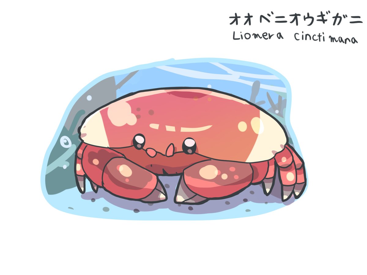 ととげ🐟️ tweet media