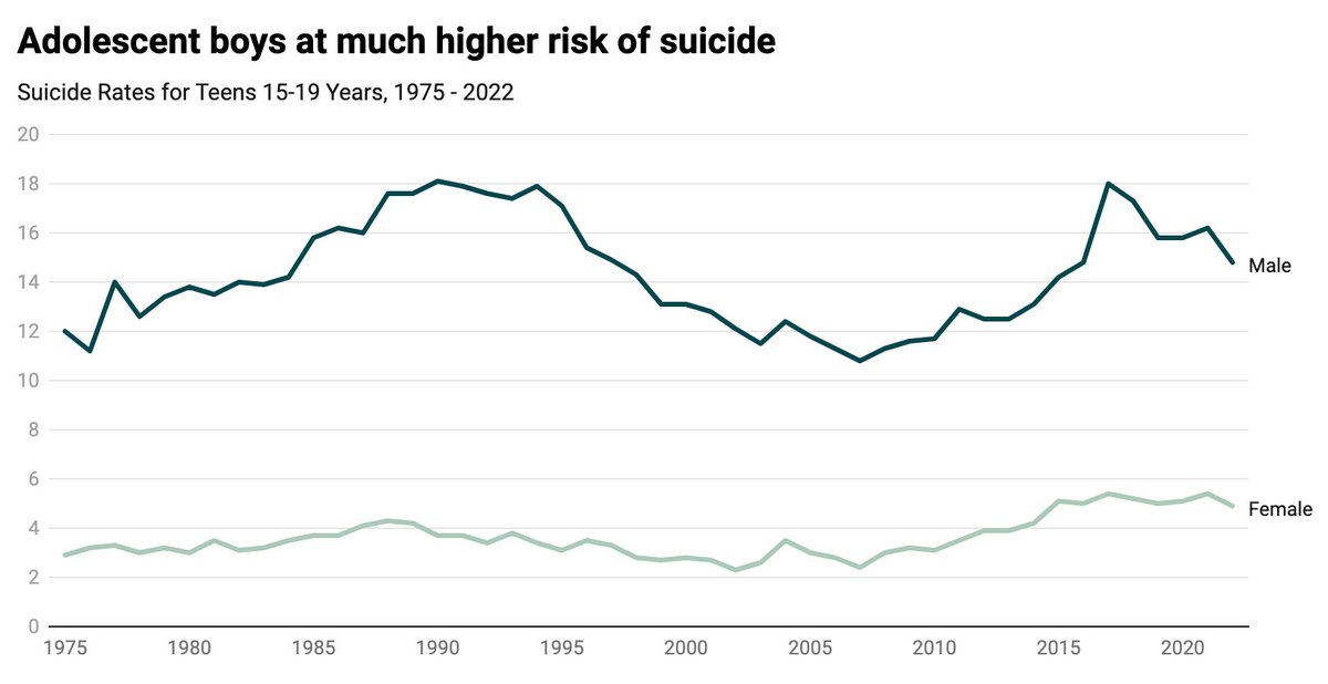 The suicide rate among adolescent boys is 3-4 times higher than among girls. But current surveys, including the @CDCgov Youth Risk Behavior Survey (YRBS) aren't as sensitive to more male expressions of suffering argues @LDamour for @aibm_org aibm.org/commentary/boy…