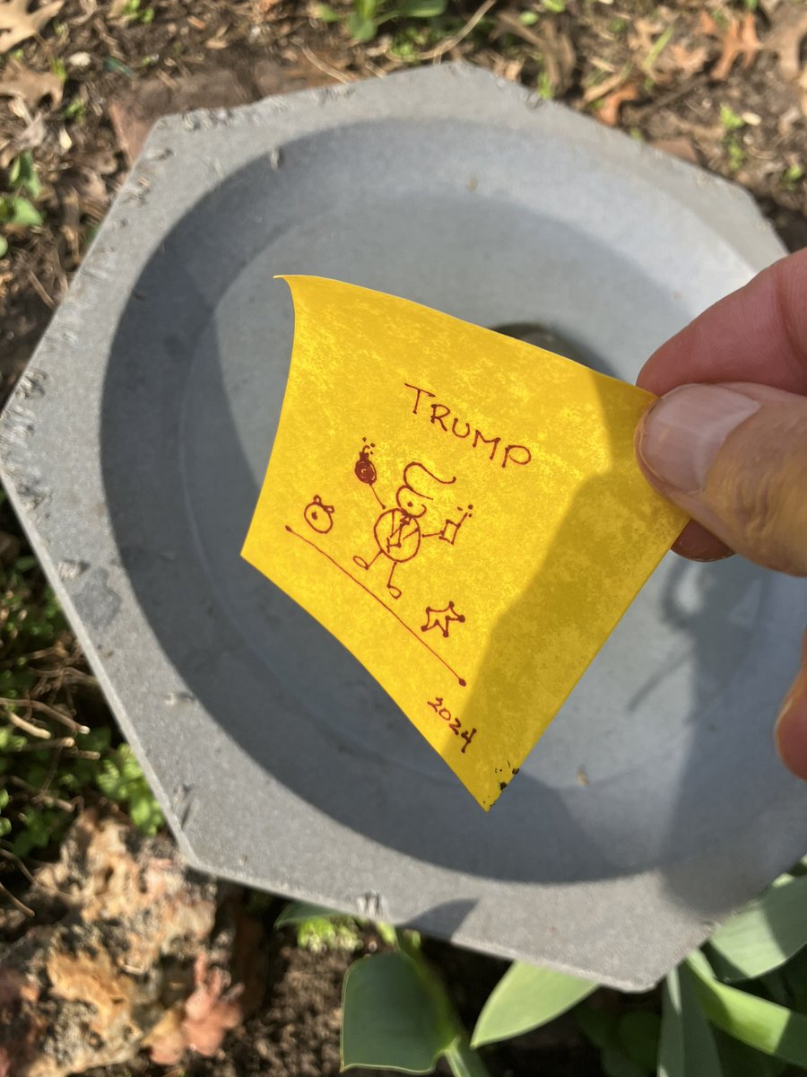 I dunked Trump in my bird bath and stuck him in the freezer! ✅ Old trick for getting rid of unwanted persons. Guaranteed to work every time!! #DumpTrump