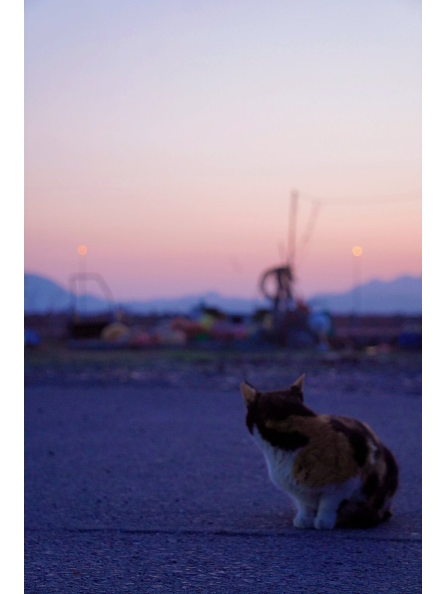一歩引いて、客観的に。
#過去写真　#函館　#カメラ