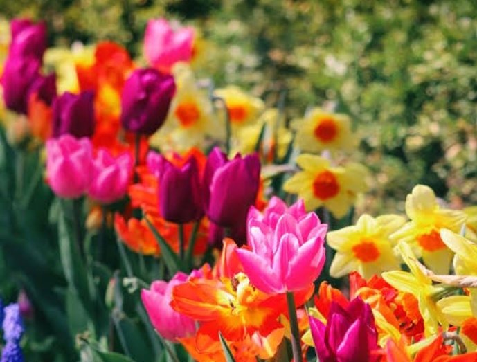 wang (@kedobor28250) on Twitter photo 