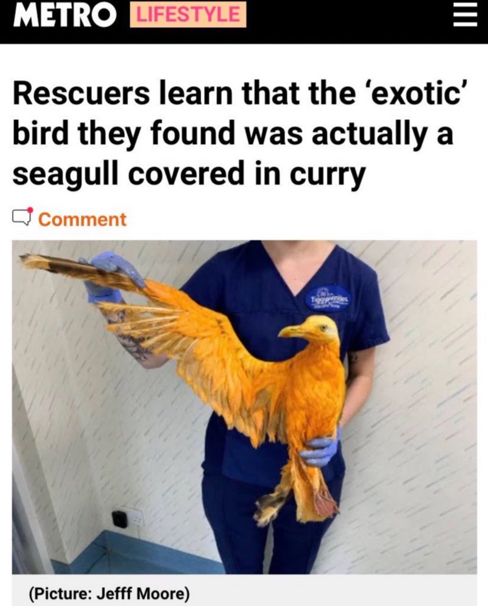 Out of Context Human Race (@nocontexthumans) on Twitter photo 