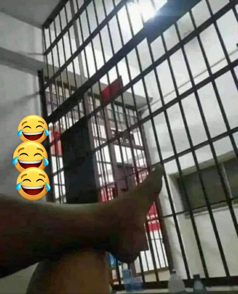 afabio129's tweet photo. @4i20Luizinho A maioria 🤣🤣🤣🤣 https://t.co/AQ3eGkf2Ki