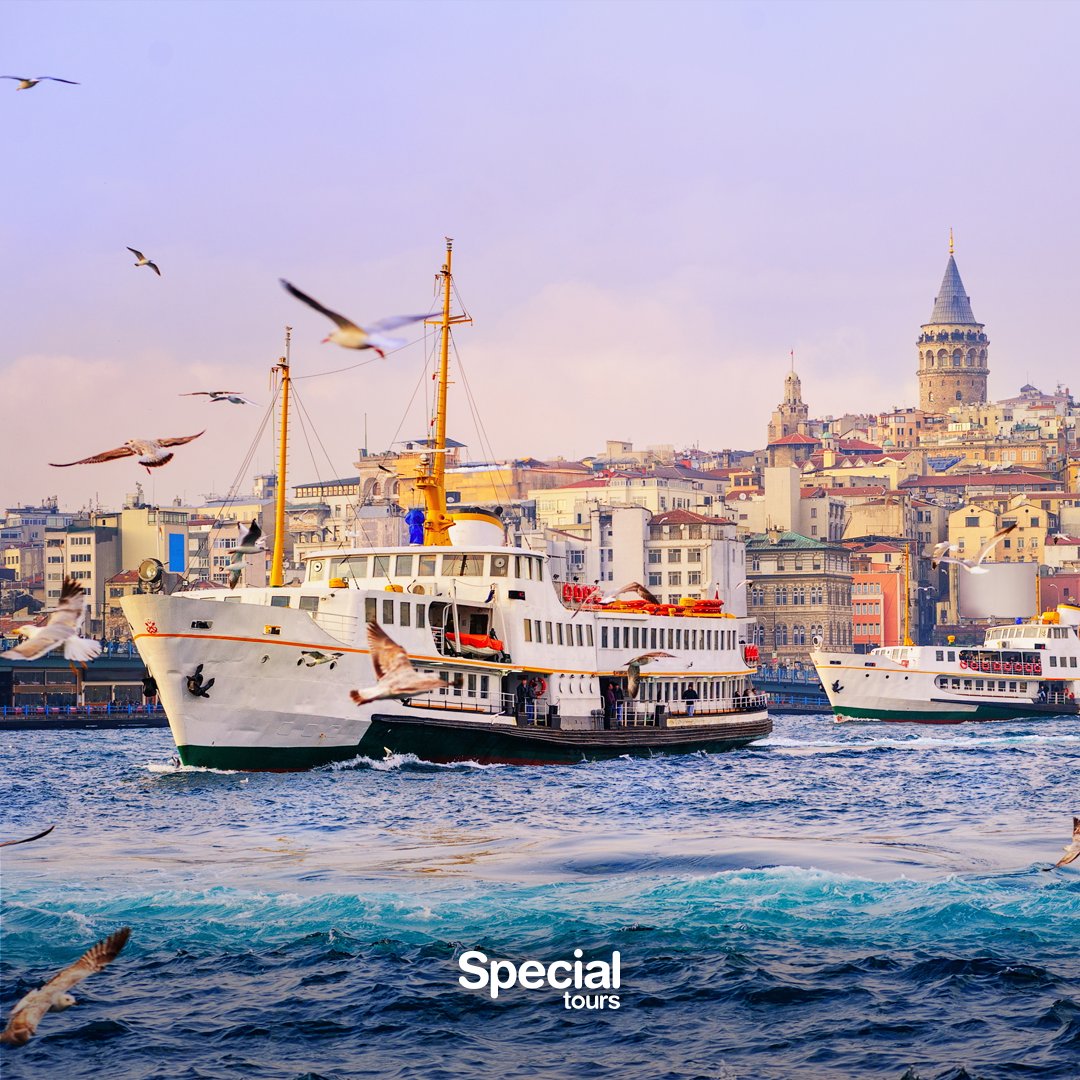 Special Tours tweet media