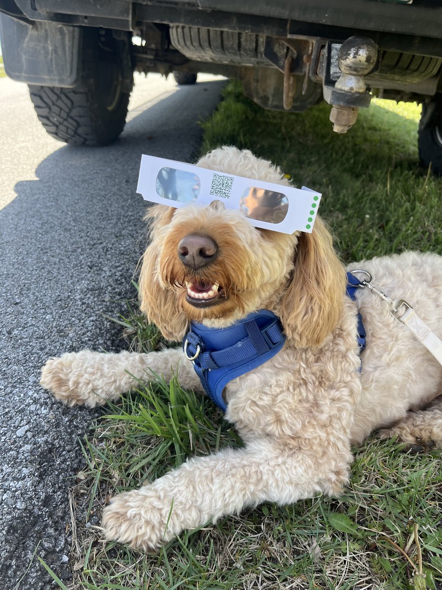 IllinoisDNR's tweet image. IDNR staff welcomed visitors from all over the state, the nation, and the world for this incredible celestial event. #ILEclipse2024 #Eclipse24