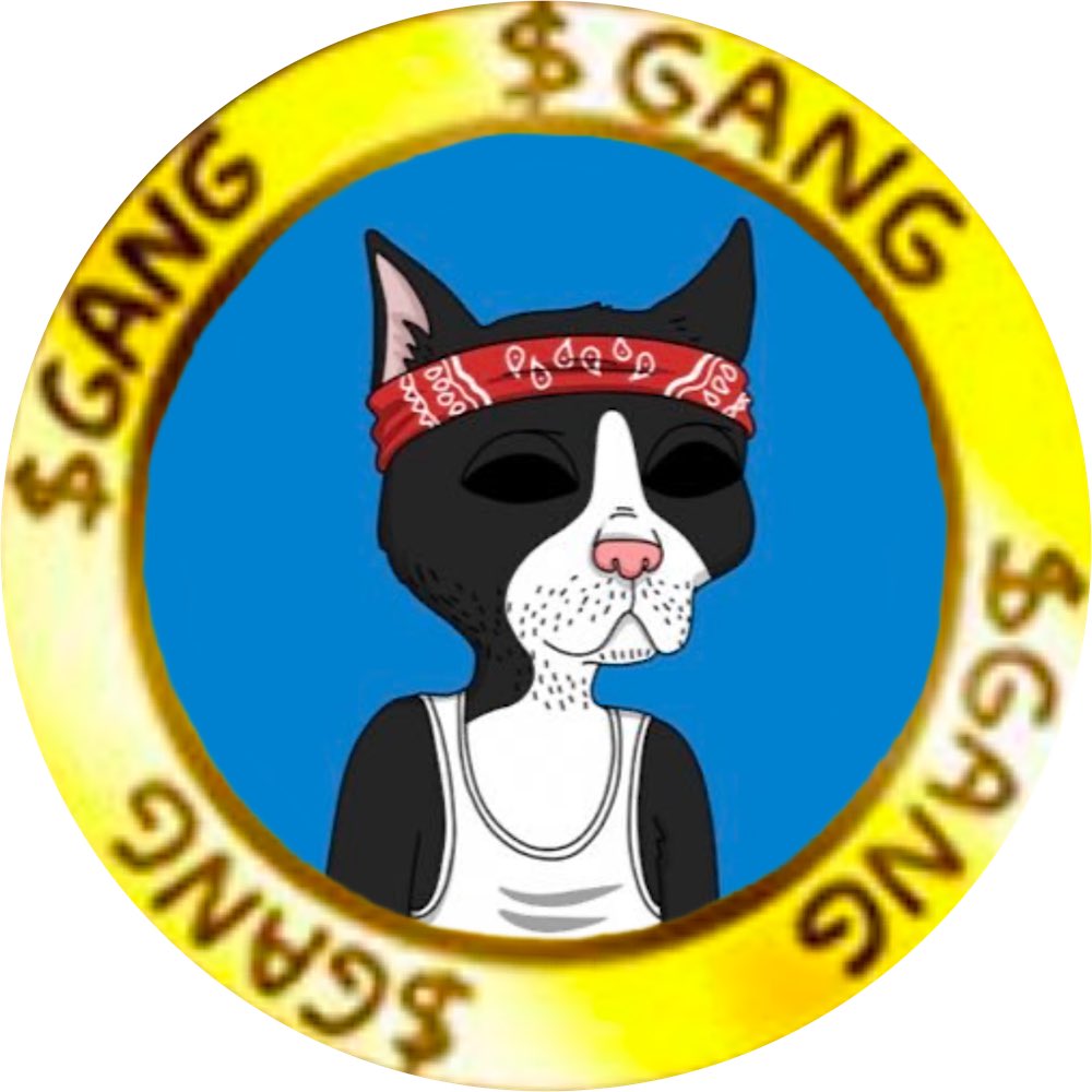 @ayo25192406 @GutterCatGang @GutterToken $Gang $Gang