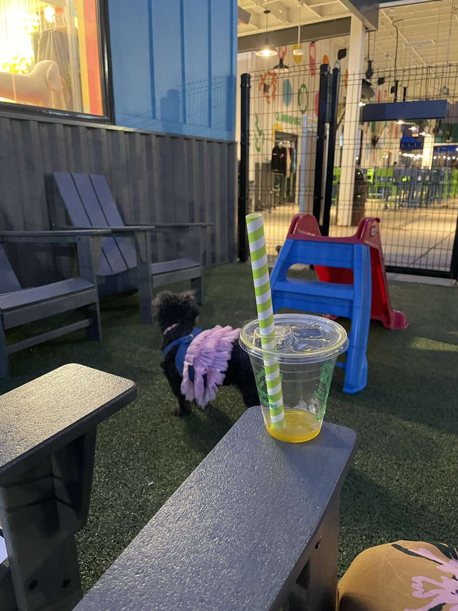 thenpthatcares's tweet image. Spent the late evening at @bark_social with Beauty. I was able to recruit 2 Black women during that time and read through 3 important articles ♥️. So far I’ve recruited over 10% of my goal of n=150 in 3 days! Thank you #sistas 🙏🏾  #worklifeintegration #pupsinscience