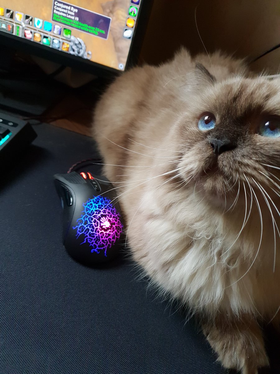 1 month old vs. 1 year old